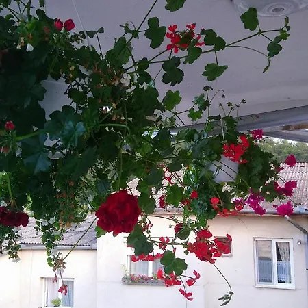 Apartament Relax Sovata Exterior photo