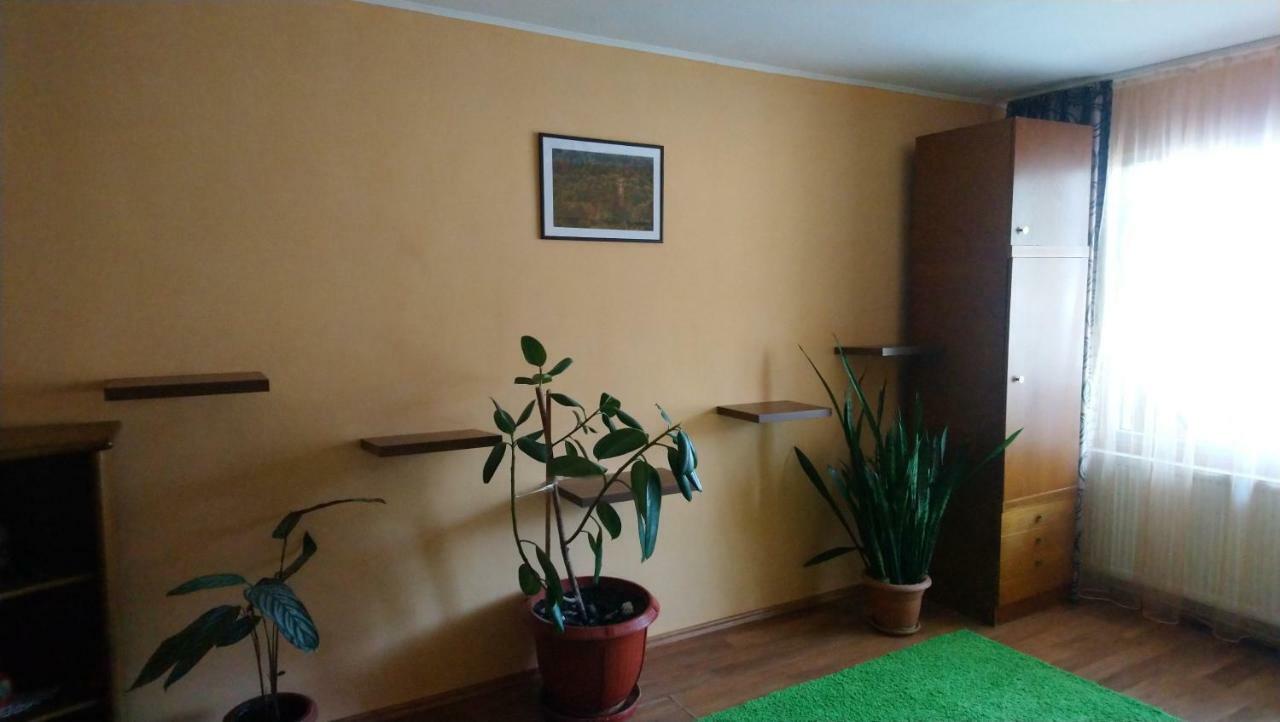 Relax Apartment Sovata