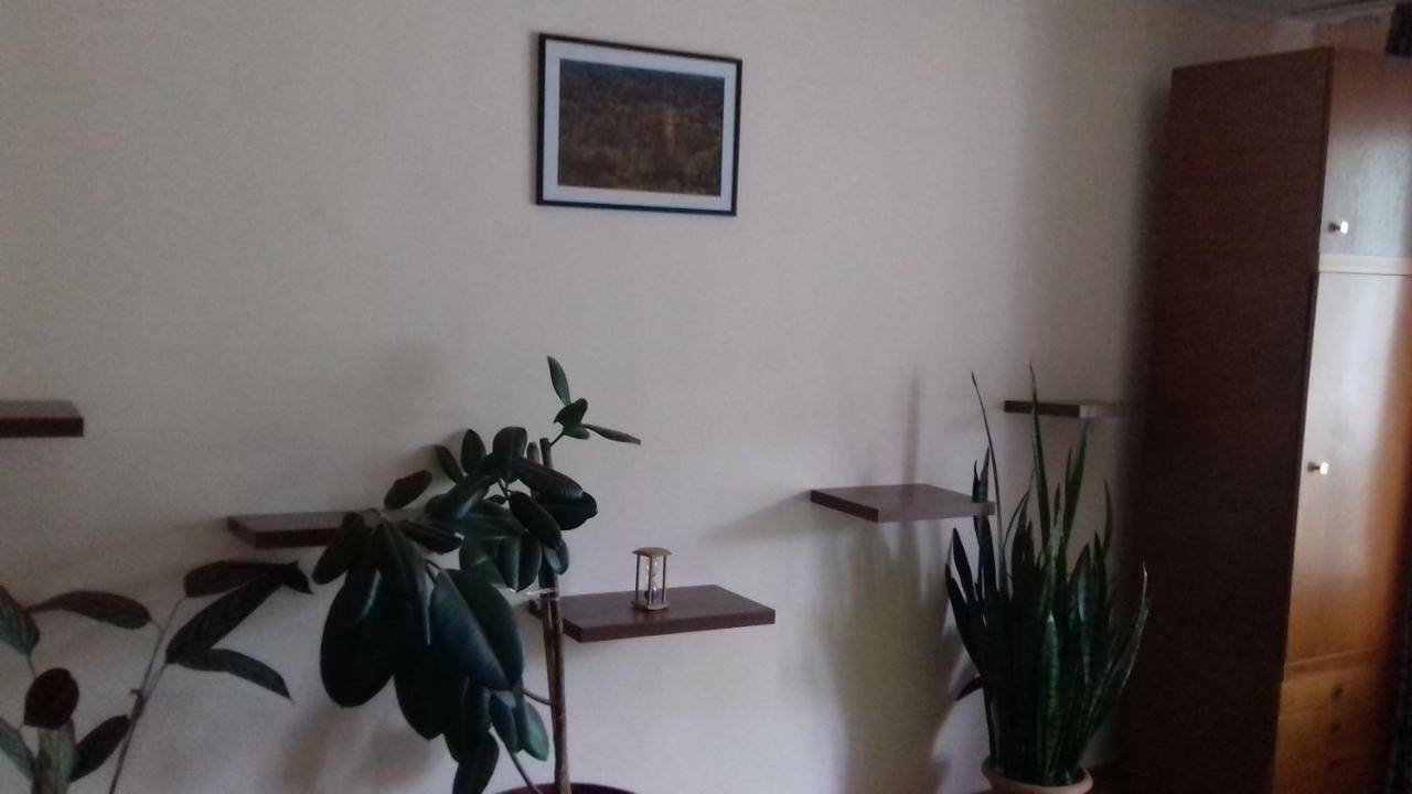Relax Apartment Sovata